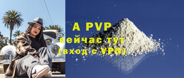 стаф Ростов