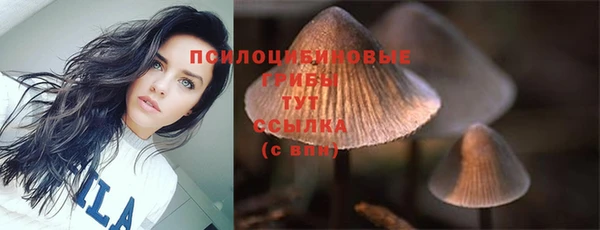 кокс Лабытнанги