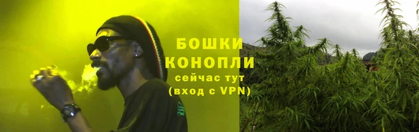ПСИЛОЦИБИНОВЫЕ ГРИБЫ Ладушкин