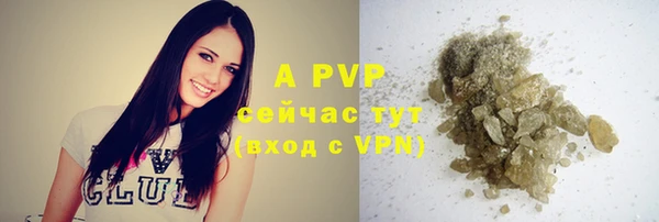 ПСИЛОЦИБИНОВЫЕ ГРИБЫ Ладушкин