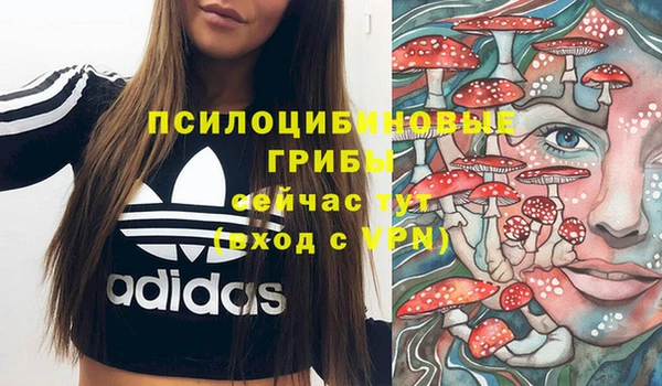 ПСИЛОЦИБИНОВЫЕ ГРИБЫ Ладушкин
