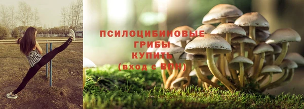 спайс Лагань