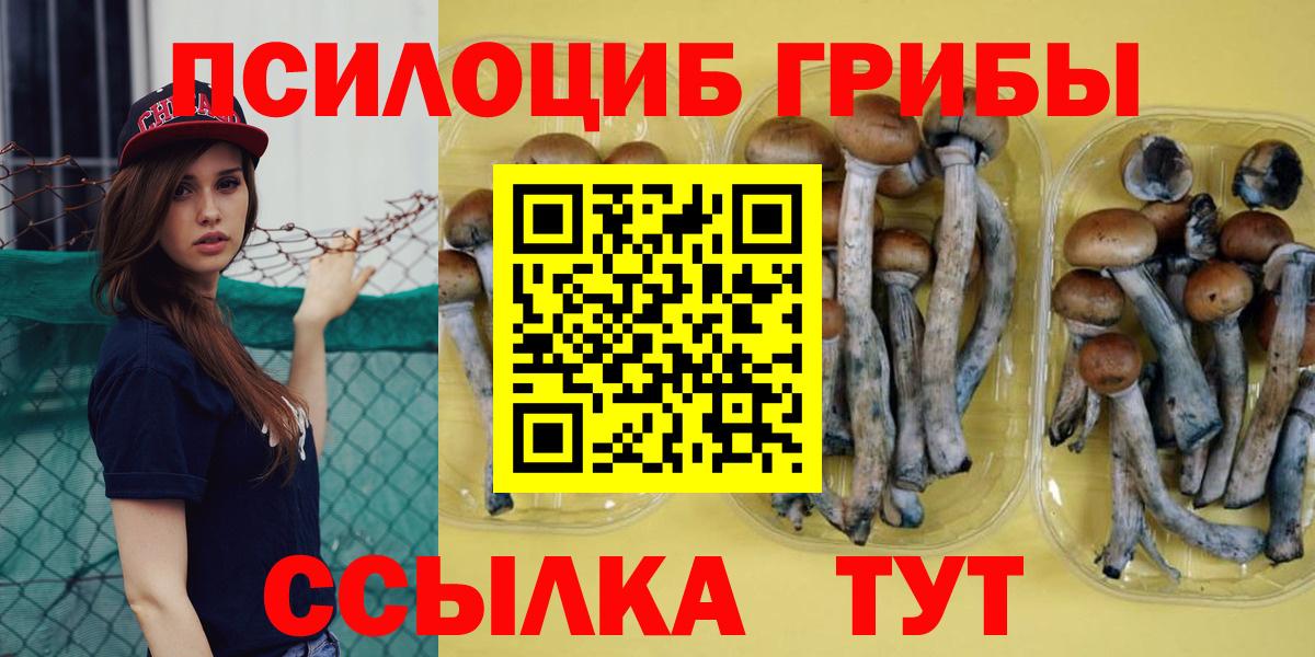 Псилоцибиновые грибы ЛСД  Галлюциногенные грибы Psilocybe  Сосновоборск 