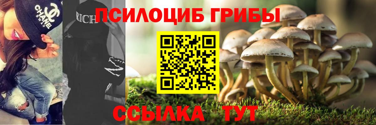 Сосновоборск  Псилоцибиновые грибы Psilocybine cubensis  что такое наркотик  Псилоцибиновые грибы ЛСД  Вход с VPN 