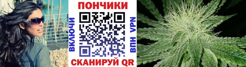 Канабис сатива Сосновоборск